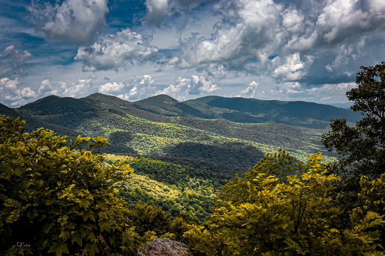 Blue Ridge Parkway 1