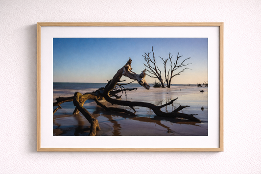 Botany Bay 9- Ships within 2 weeks