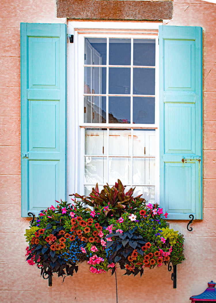 Fine art photograph titled “Charleston Window Box” by Amy Bishop