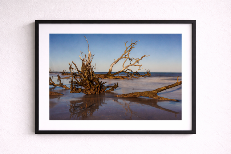 Botany Bay 8- Ships within 2 weeks