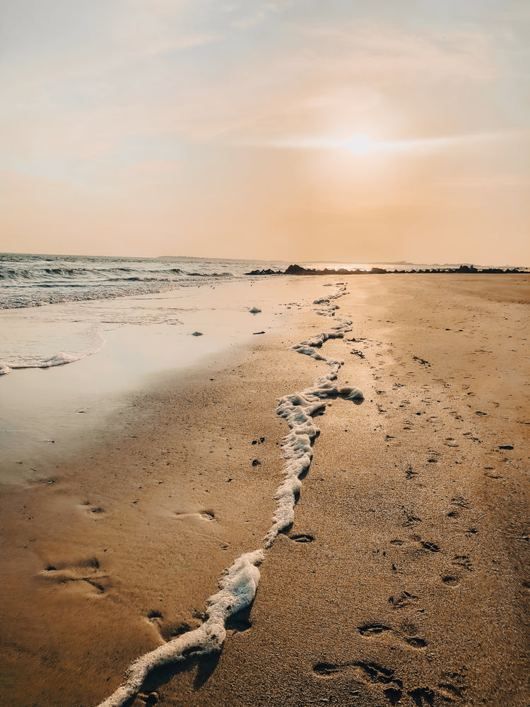 Fine art photograph titled “Edisto Sea Foam” by Amy Bishop