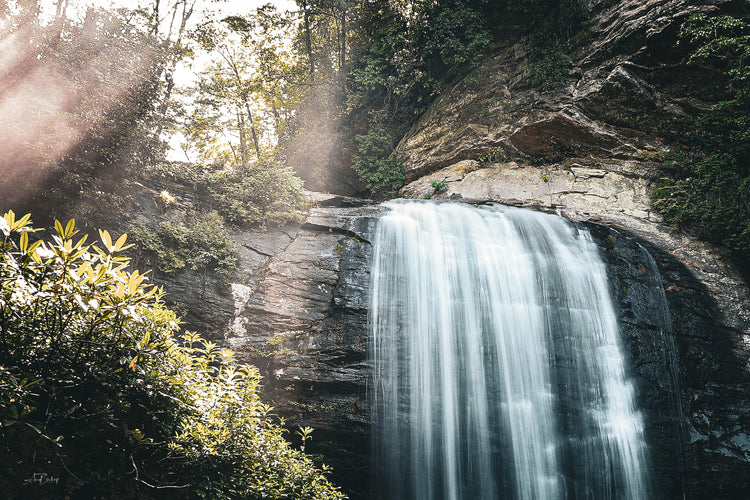 Looking Glass Falls 5
