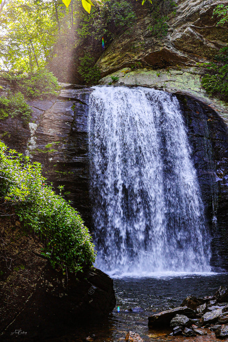 Looking Glass Falls 6