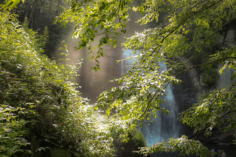 Looking Glass Falls 7