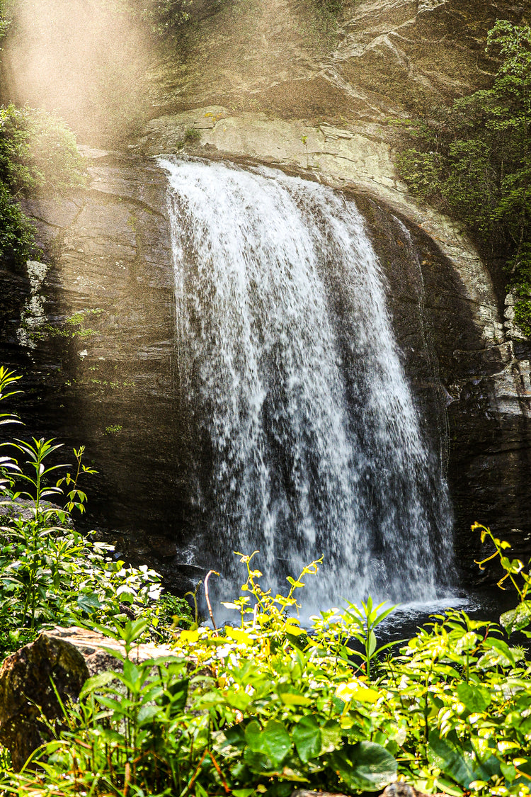 Looking Glass Falls 8