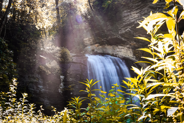 Looking Glass Falls 1