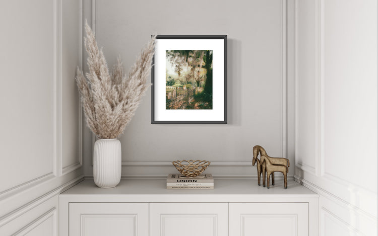 Edisto Presbyterian Fence and Oak