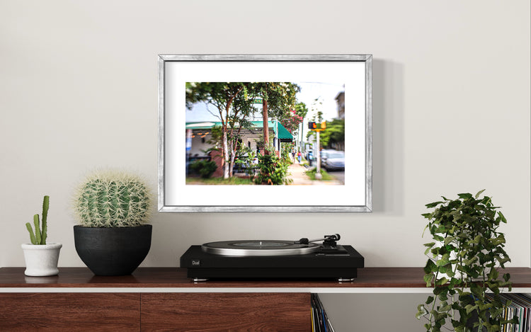 Summertime in Raleigh