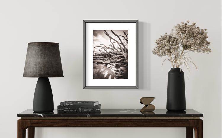 Botany Bay 4