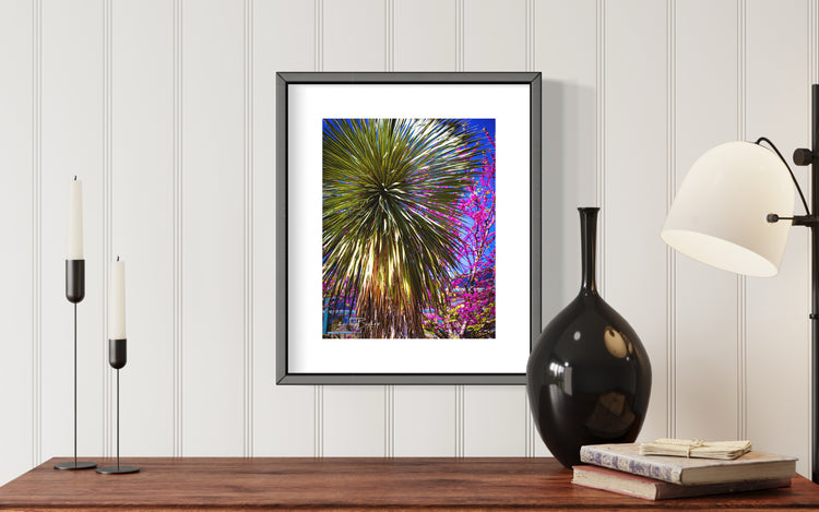 Botanical Garden Palm