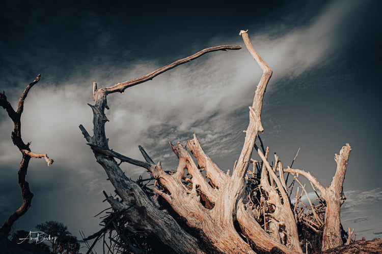 Botany Bay 5