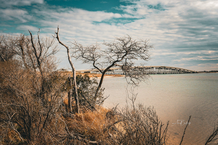 Bridge to Assateague- Assateague Island Collection