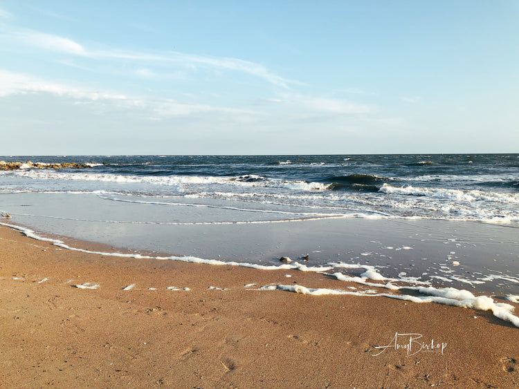 Edisto Beach 1