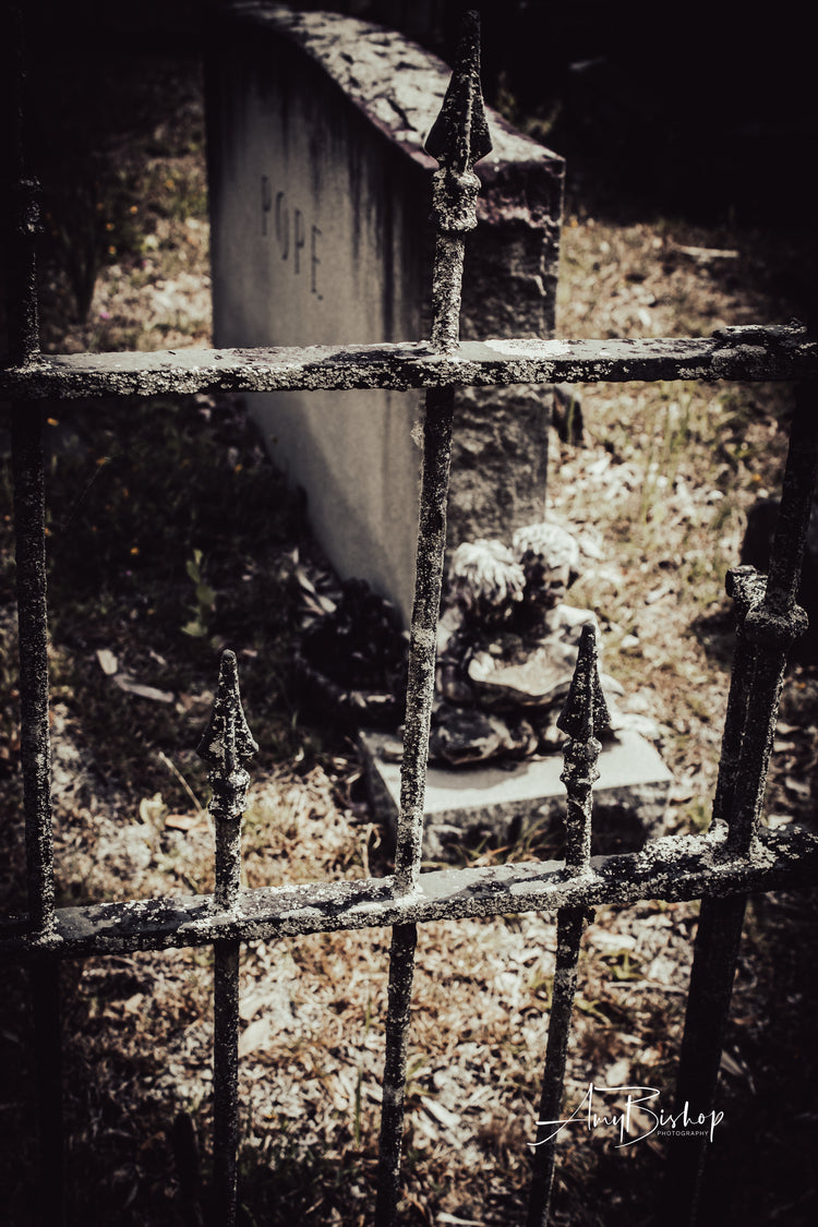 Edisto Presbyterian Graveyard BW
