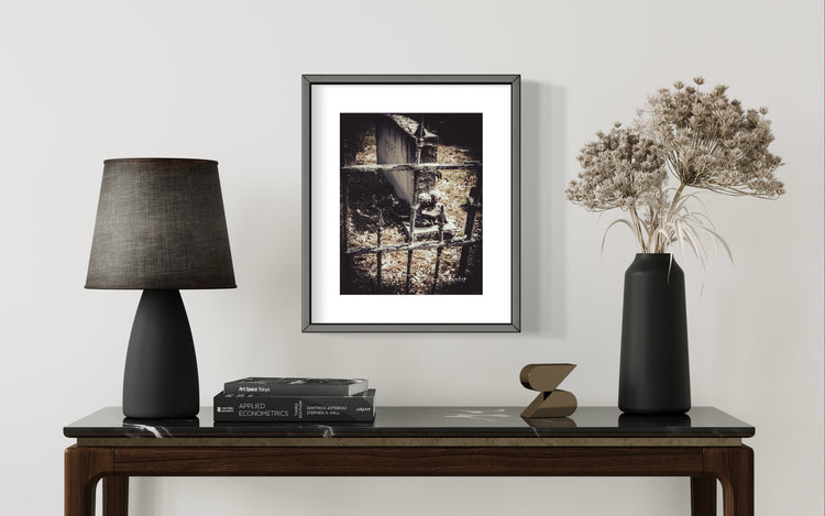 Edisto Presbyterian Graveyard BW