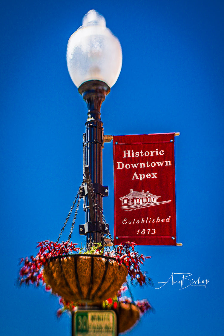 Apex Street Lamp