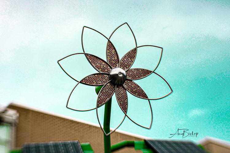 Marbles Flower Sculpture, Raleigh, NC