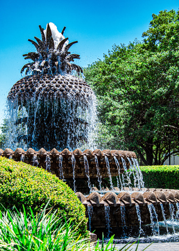 Pineapple Fountain