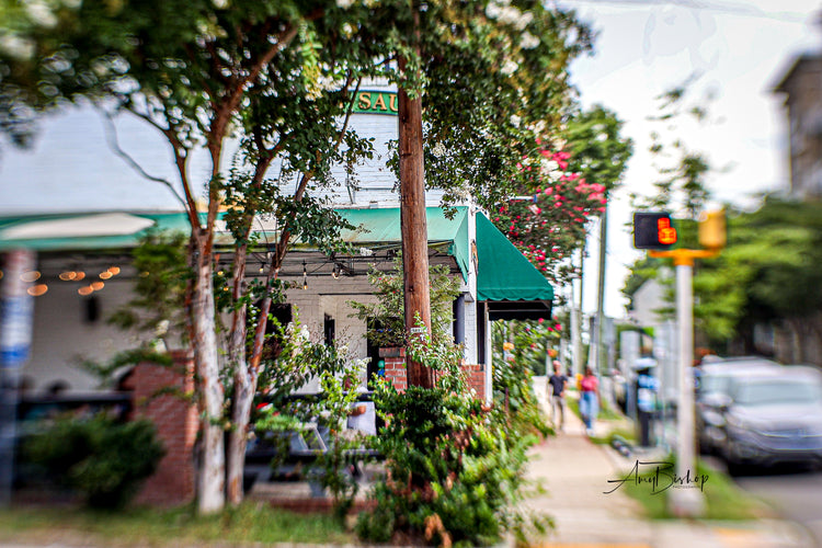 Summertime in Raleigh