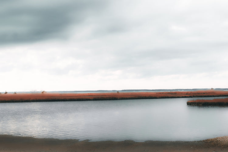 Winter on Assateague- The Assateague Island Collection