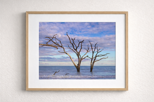 Botany Bay 2- Ships within 2 weeks