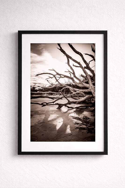 Botany Bay 4- Ships within 2 weeks