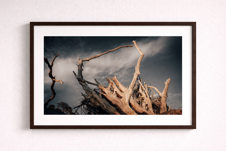 Botany Bay 5- Ships within 2 weeks