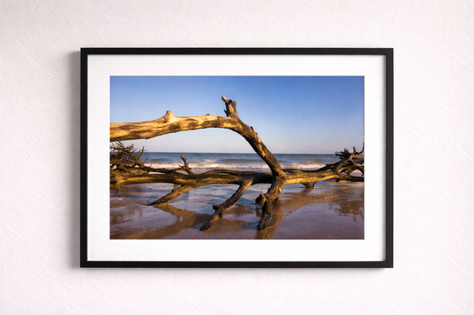 Botany Bay 6- Ships within 2 weeks