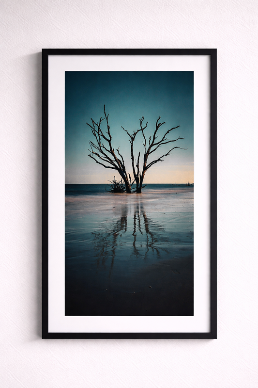 Botany Bay 7- Ships within 2 weeks