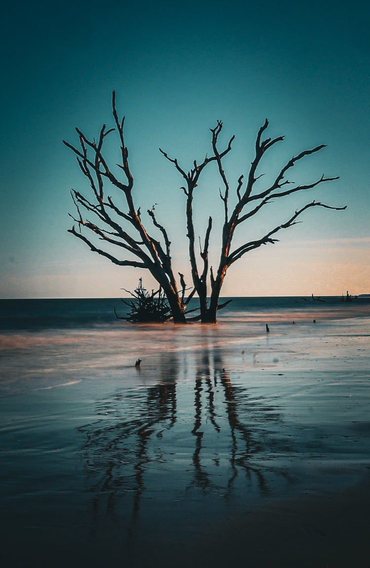 Botany Bay 7- Ships within 2 weeks