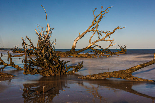 Botany Bay 8- Ships within 2 weeks