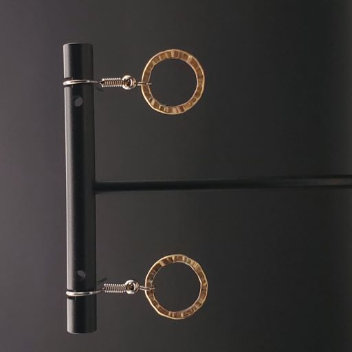 SPJ Chani Earrings