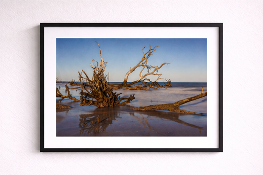 Botany Bay 8- Ships within 2 weeks