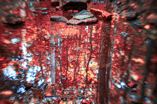 Fine art photograph titled “Fall in Pisgah” by Amy Bishop