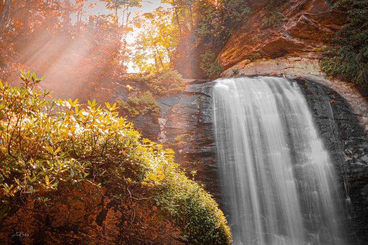 Looking Glass Falls 4