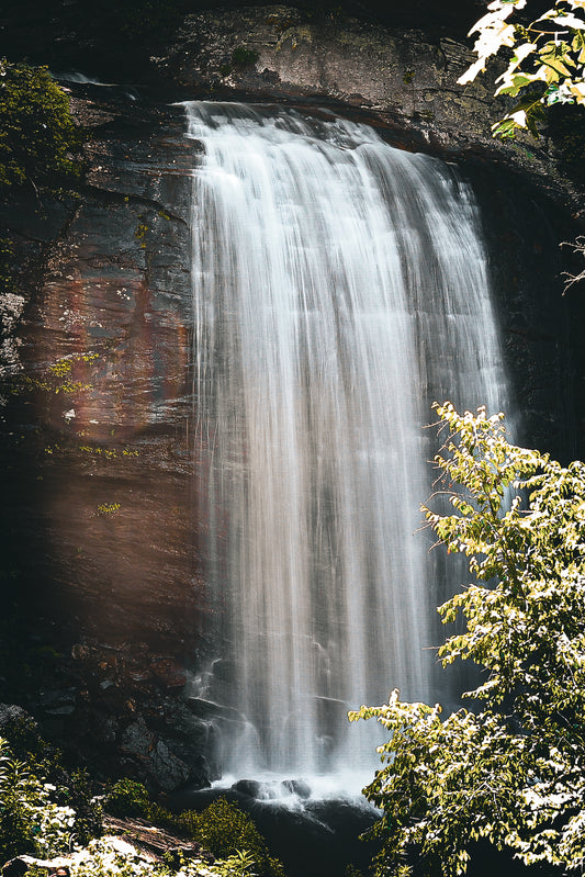 Looking Glass Falls 9