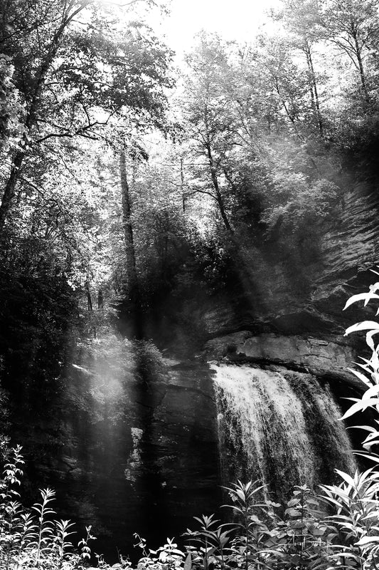 Looking Glass Falls 2