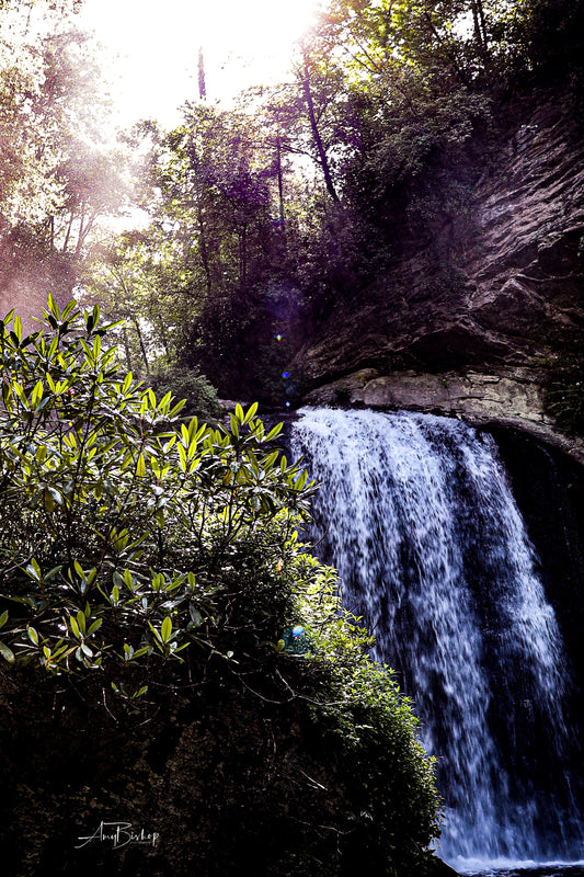 Looking Glass Falls 3