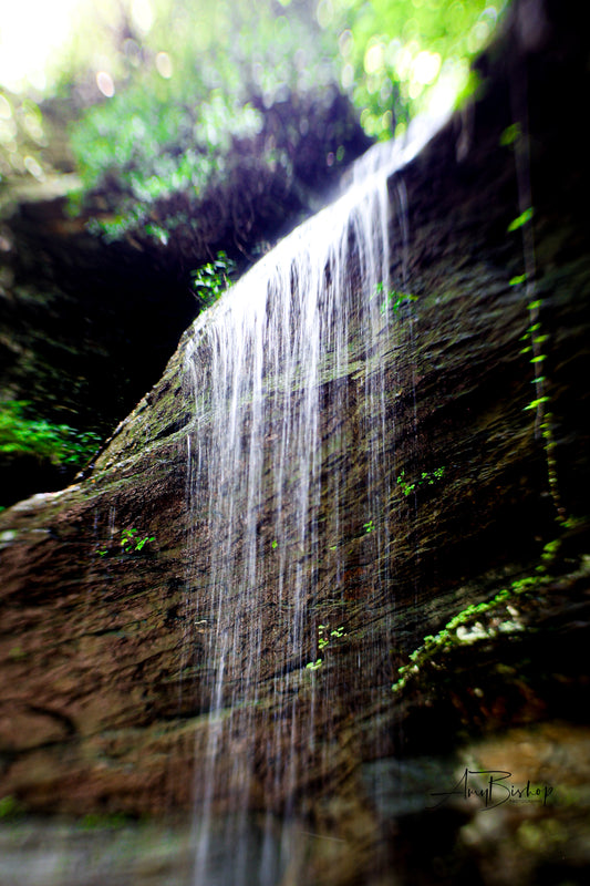 Moore Cove Falls 10