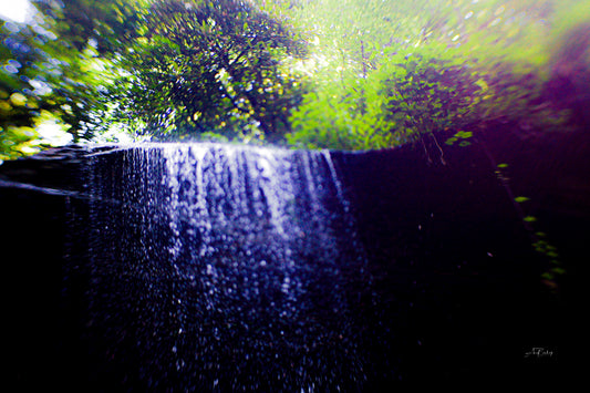 Moore Cove Falls 3