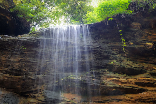 Moore Cove Falls 6