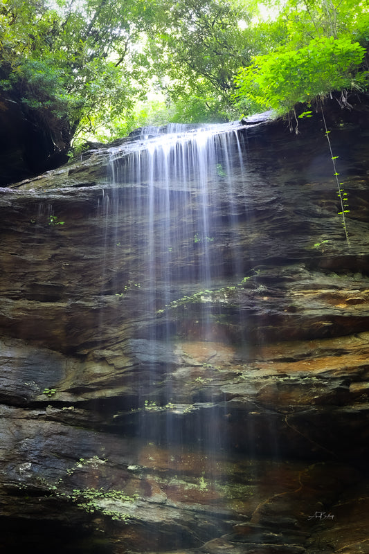 Moore Cove Falls 7