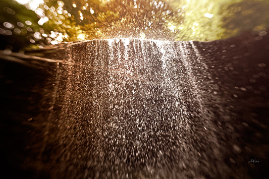 Moore Cove Falls 9