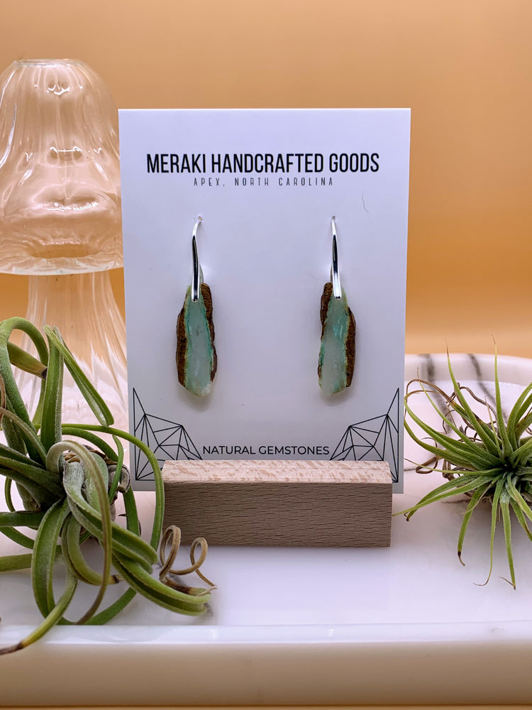 Pendant Earrings