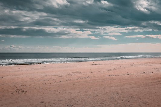 Assateague Beach- The Assateague Island Collection