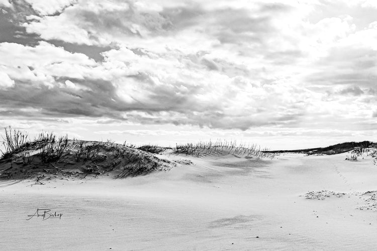 Black and White Dunes- The Assateague Island Collection