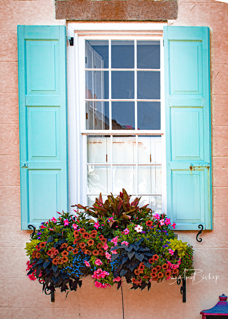 Charleston Window Box
