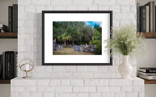 Edisto Presbyterian Palm and Live Oak