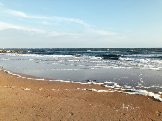 Edisto Beach 1