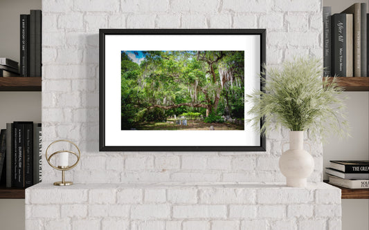 Edisto Presbyterian Live Oak